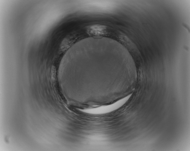 X0000098130760200805151115