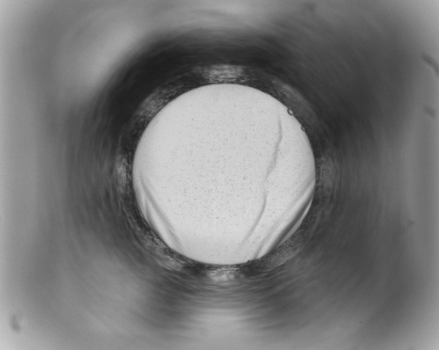 X0000098130761200805151115