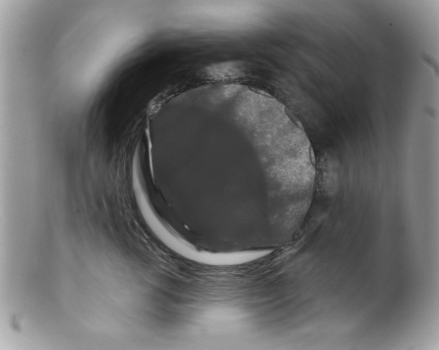 X0000098130762200805151115