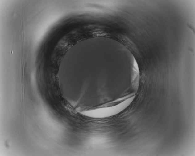 X0000098130763200805151115