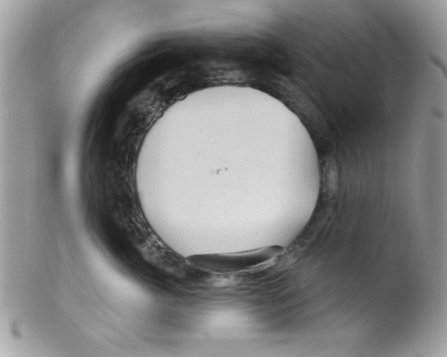 X0000098130764200805151115