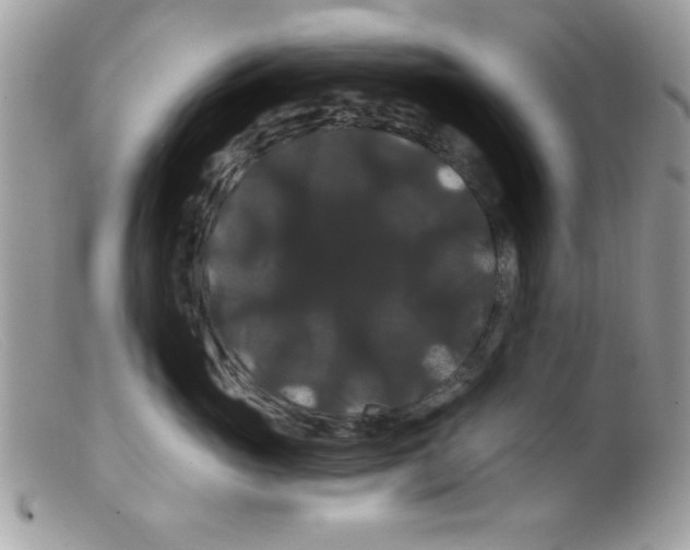 X0000098130765200805151115