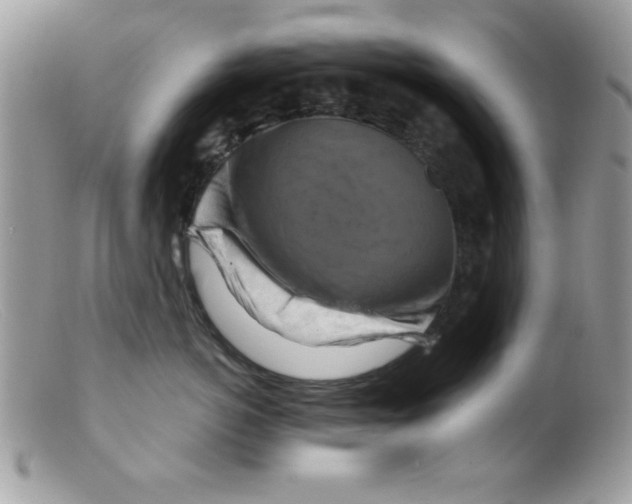 X0000098130766200805151116
