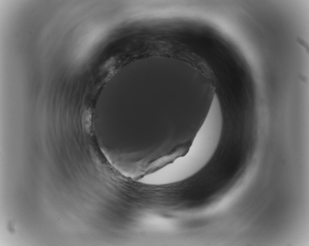 X0000098130767200805151116