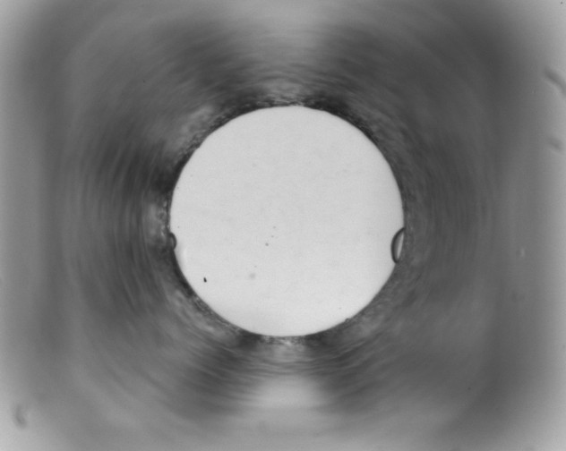 X0000098130768200805151116