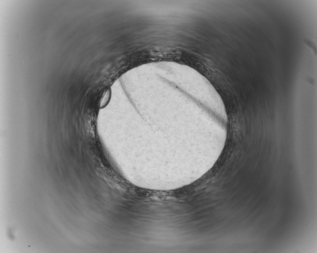X0000098130770200805151115