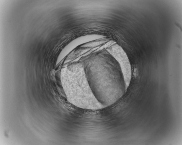 X0000098130771200805151115