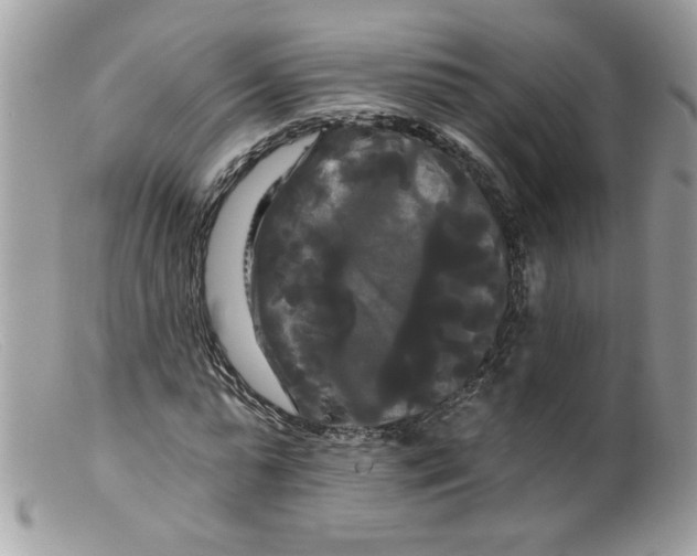 X0000098130775200805151115