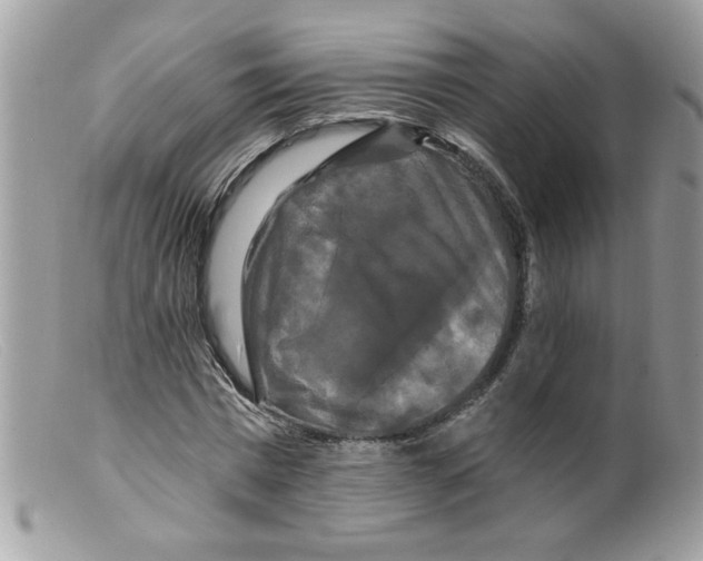 X0000098130777200805151115