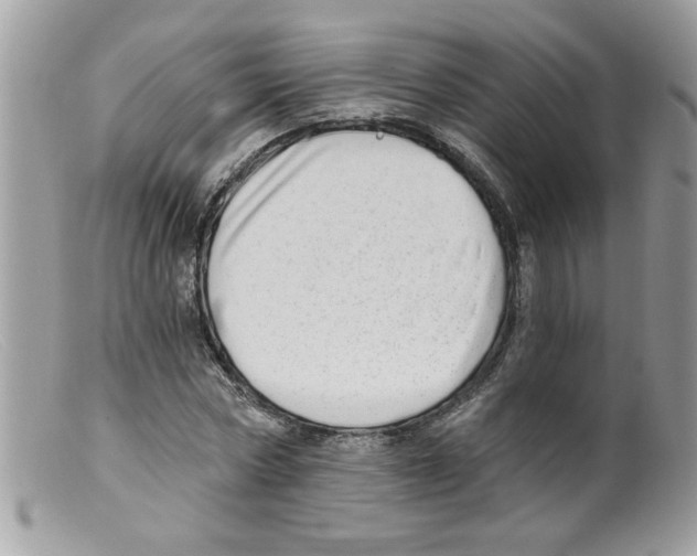 X0000098130778200805151115