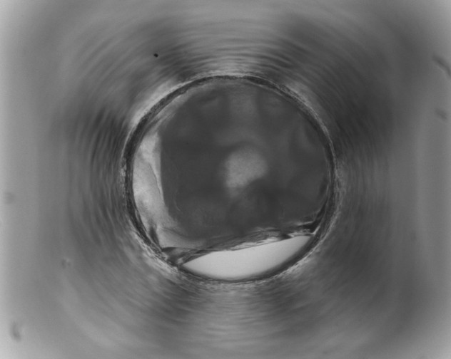 X0000098130779200805151115