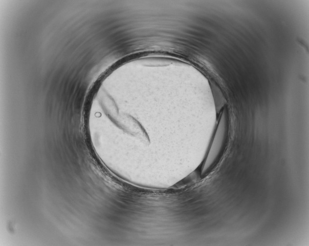 X0000098130780200805151115