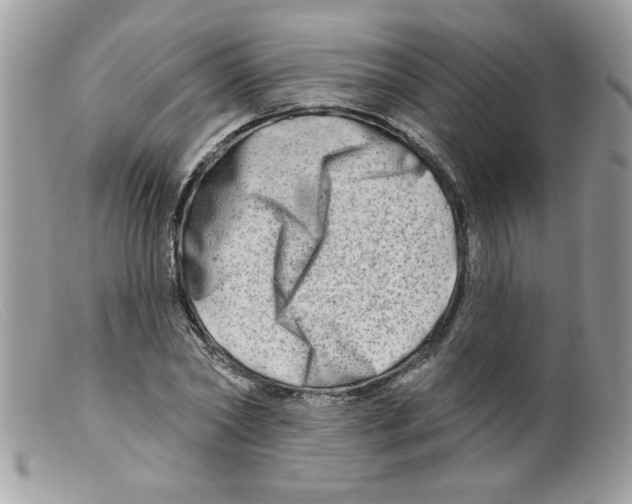 X0000098130782200805151115