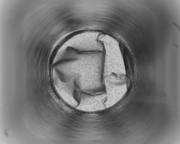 X0000098130784200805151115