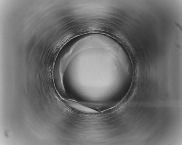 X0000098130785200805151115