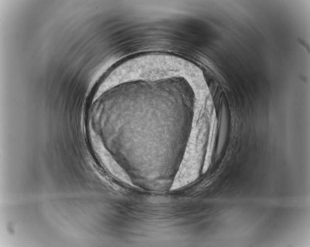 X0000098130788200805151114