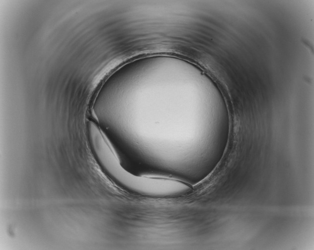 X0000098130789200805151114