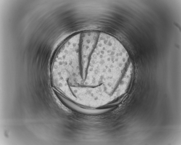 X0000098130792200805151114