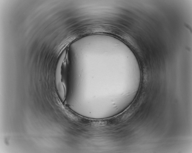 X0000098130793200805151114