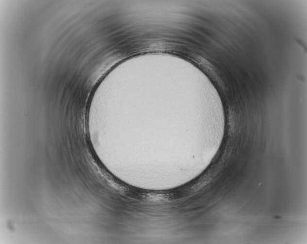 X0000098130794200805151114