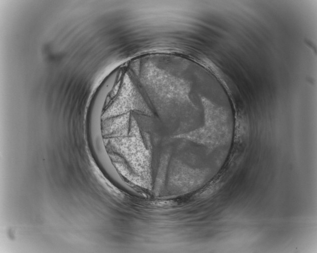 X0000098130795200805151114