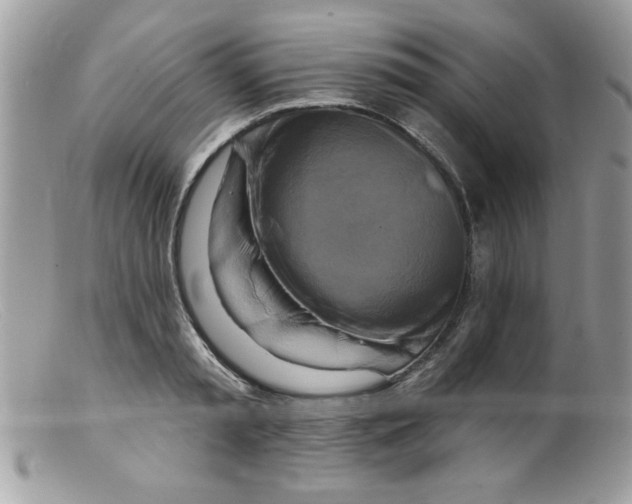 X0000098130797200805151114