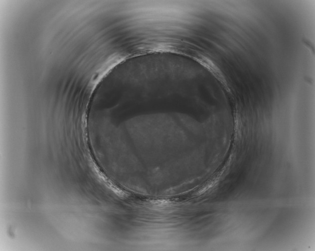 X0000098130798200805151114