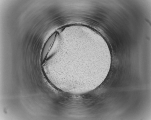 X0000098130799200805151114