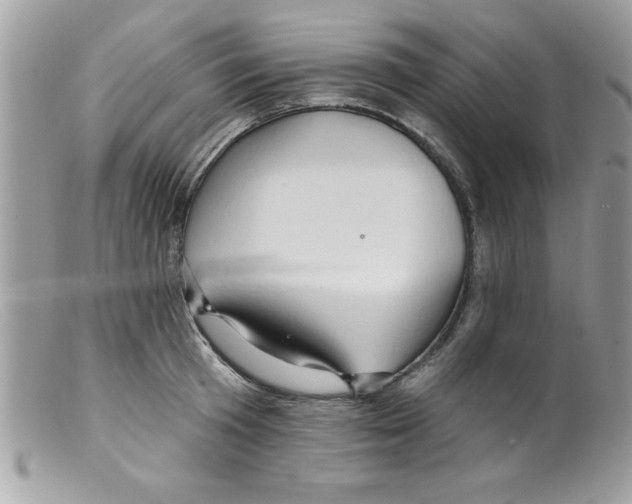 X0000098130801200805151114