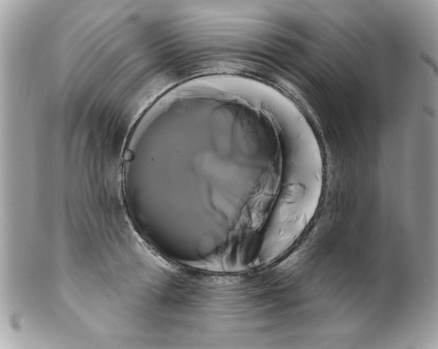 X0000098130802200805151114