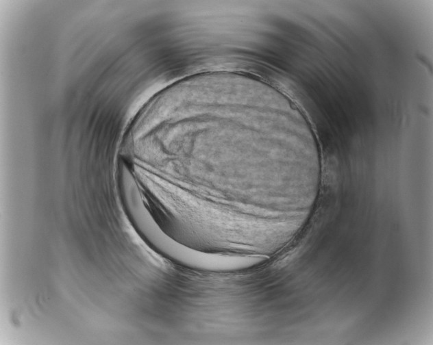 X0000098130803200805151114