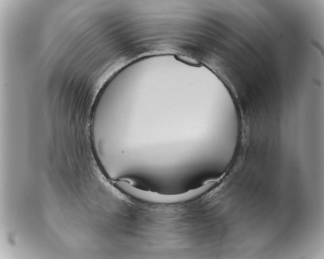 X0000098130805200805151114
