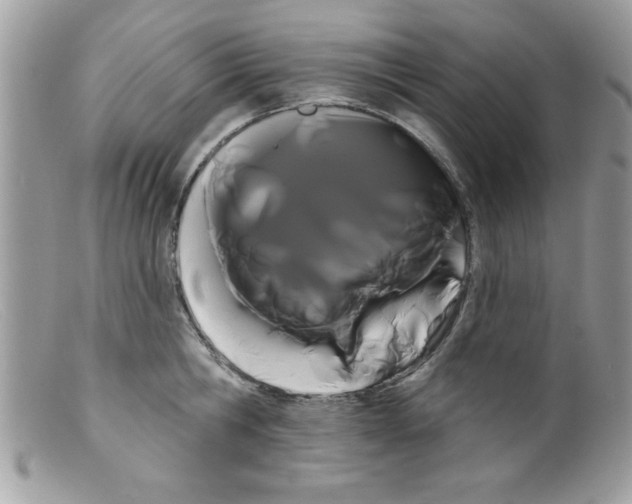 X0000098130806200805151114