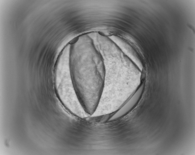 X0000098130808200805151114