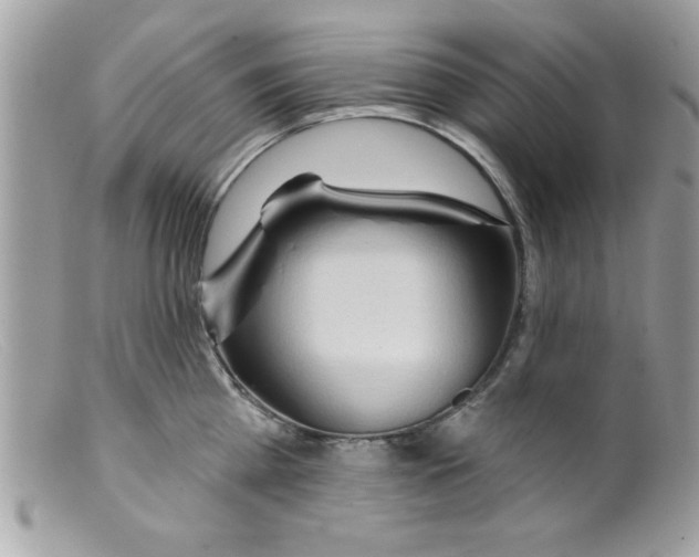 X0000098130809200805151114