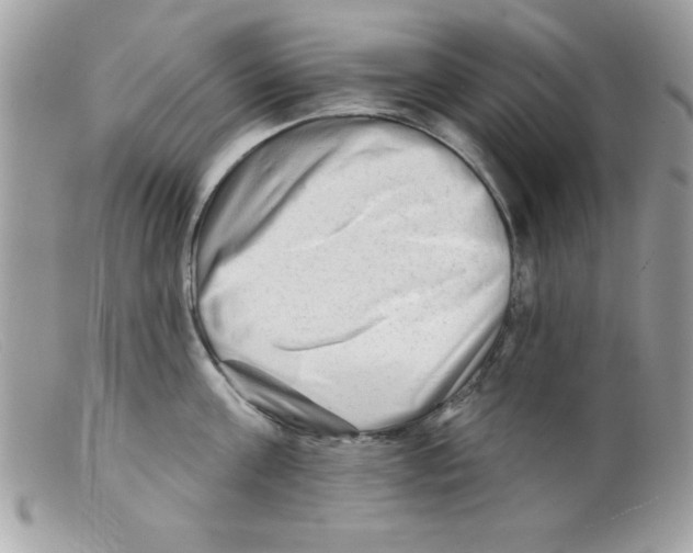 X0000098130811200805151114
