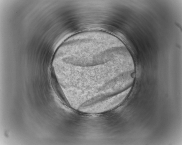 X0000098130814200805151114
