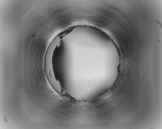 X0000098130815200805151114