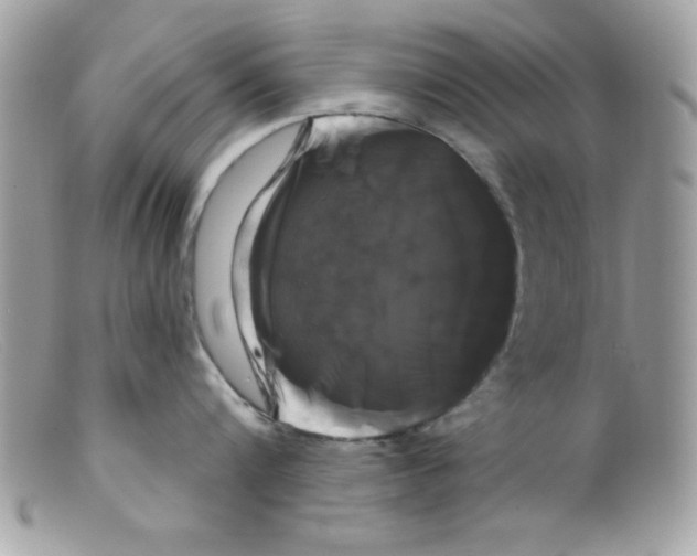 X0000098130816200805151114