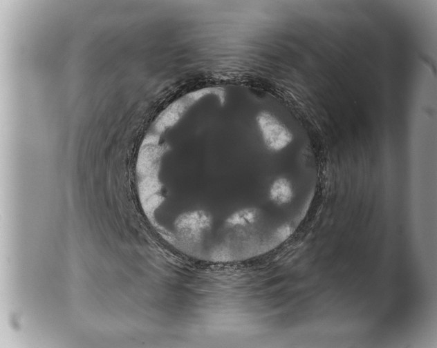 X0000098130817200805151113