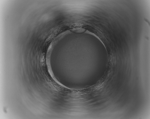 X0000098130818200805151113