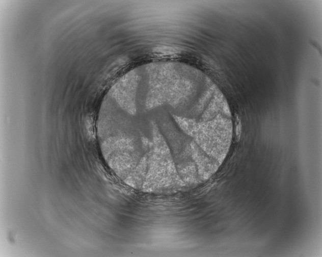 X0000098130819200805151113