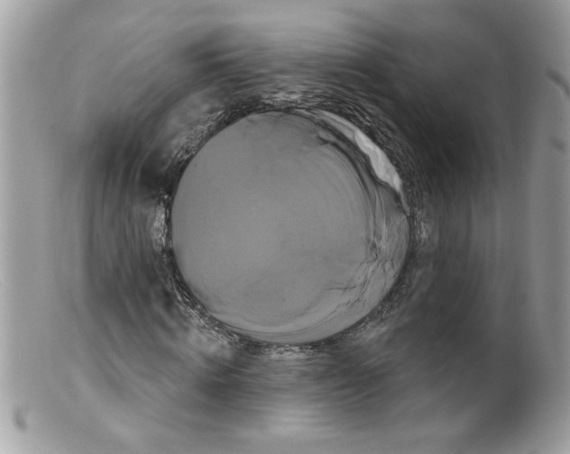 X0000098130820200805151113