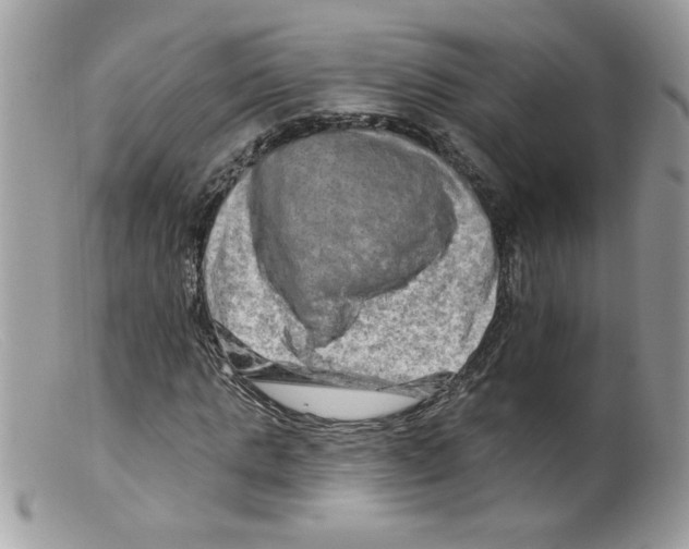 X0000098130821200805151113