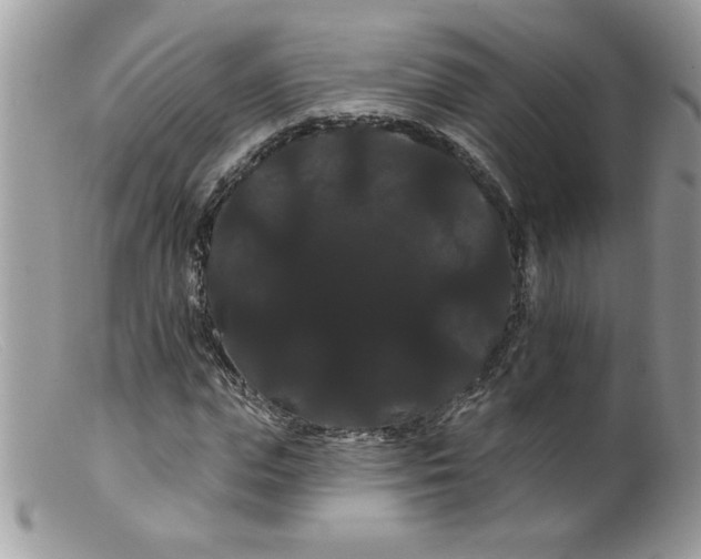 X0000098130823200805151113