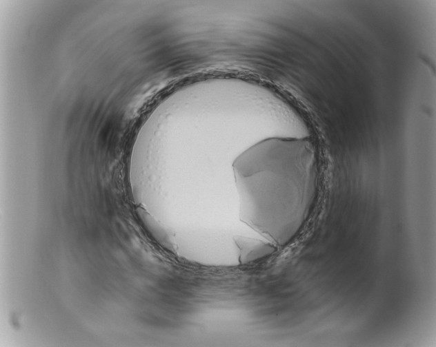 X0000098130824200805151113