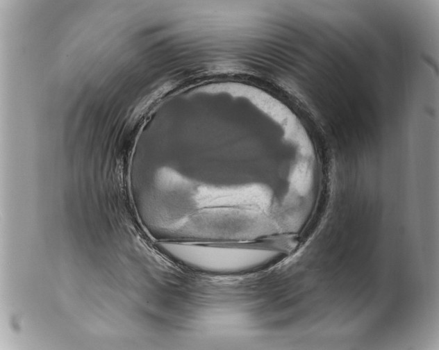 X0000098130825200805151113
