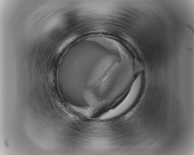 X0000098130826200805151113