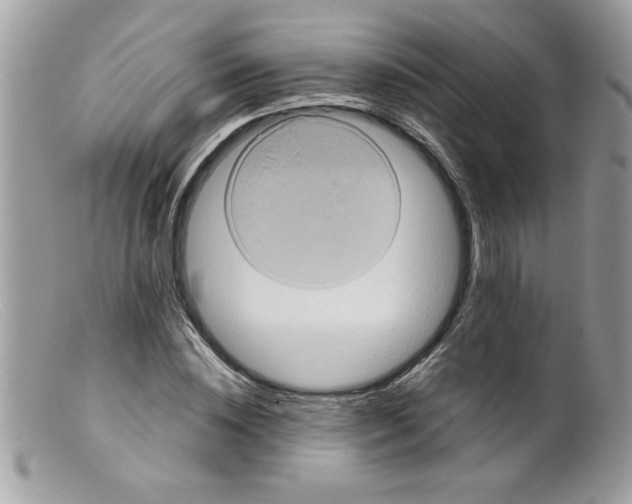X0000098130828200805151113