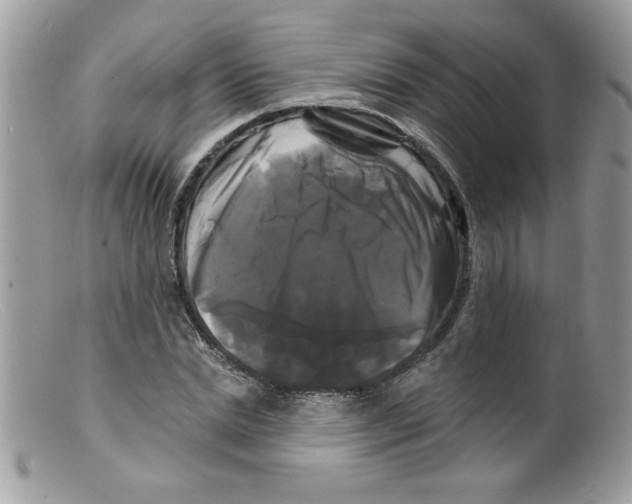 X0000098130830200805151113